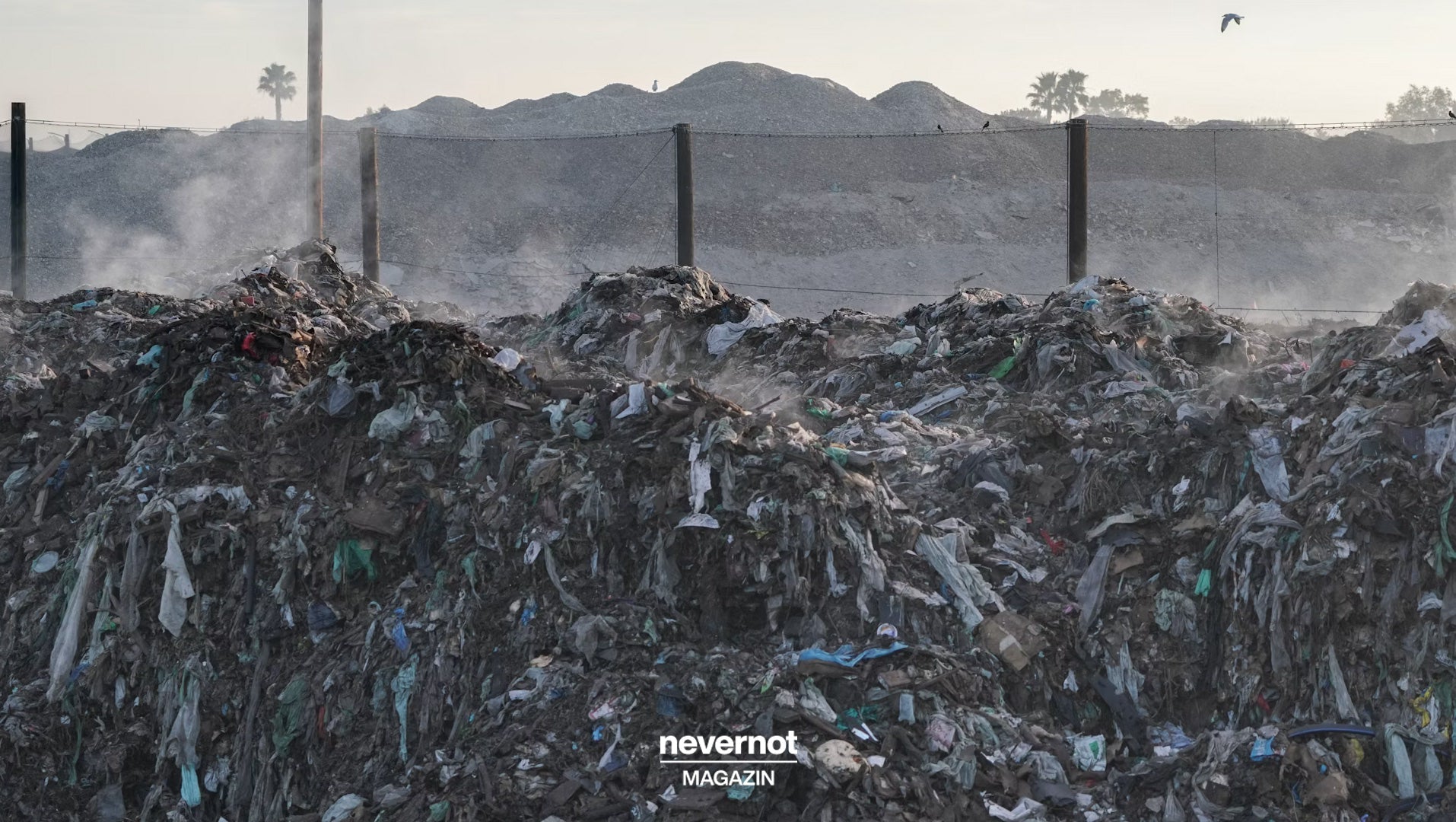 Warum feuchtes Klopapier die Umwelt belastet
