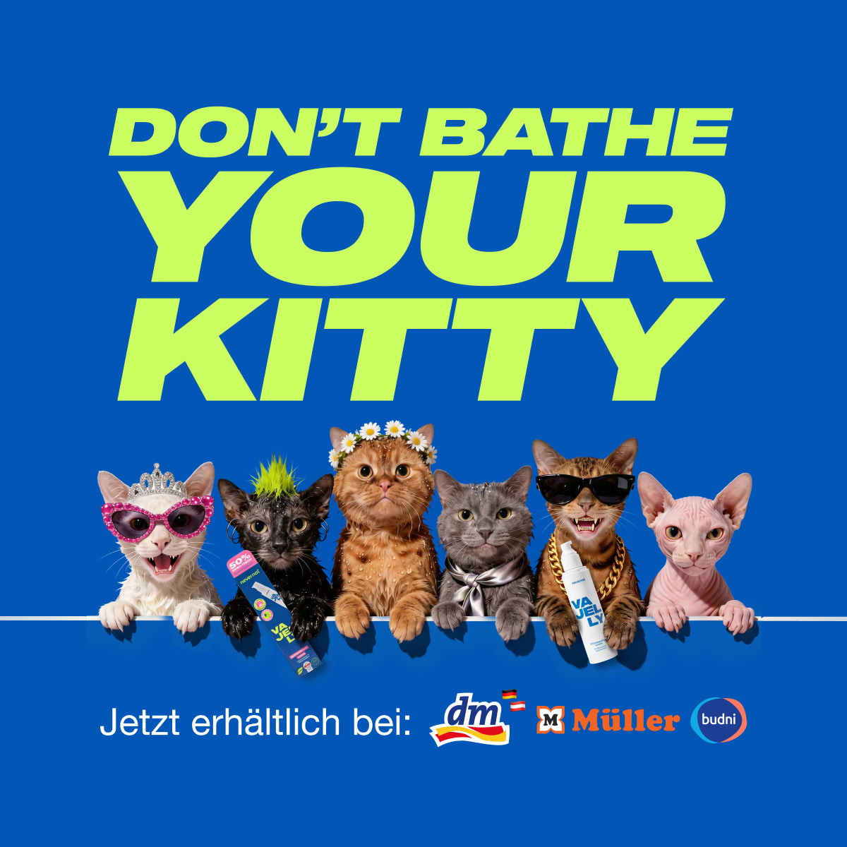 vajelly_kachel_webite